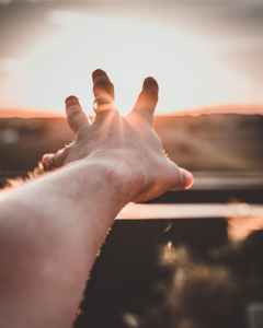 close up photo of hand during sunset